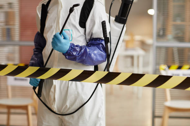 Professional Blood Cleanup technician working in Washington, UT